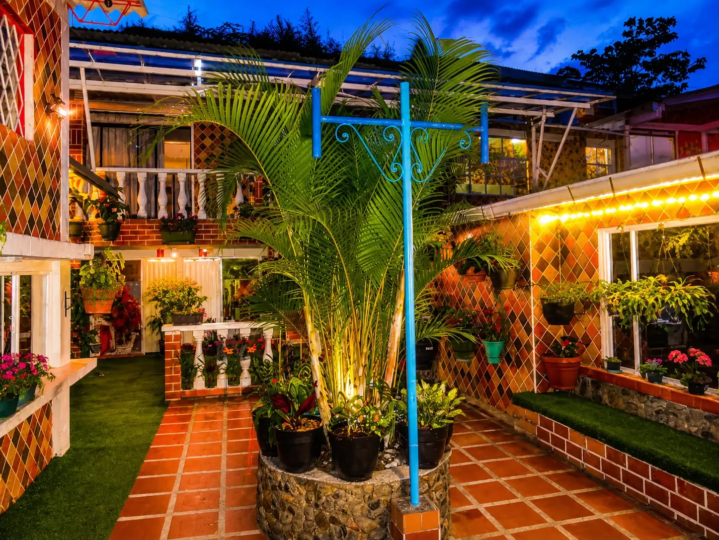 Patio interior con palmera, flores y luces cálidas al atardecer