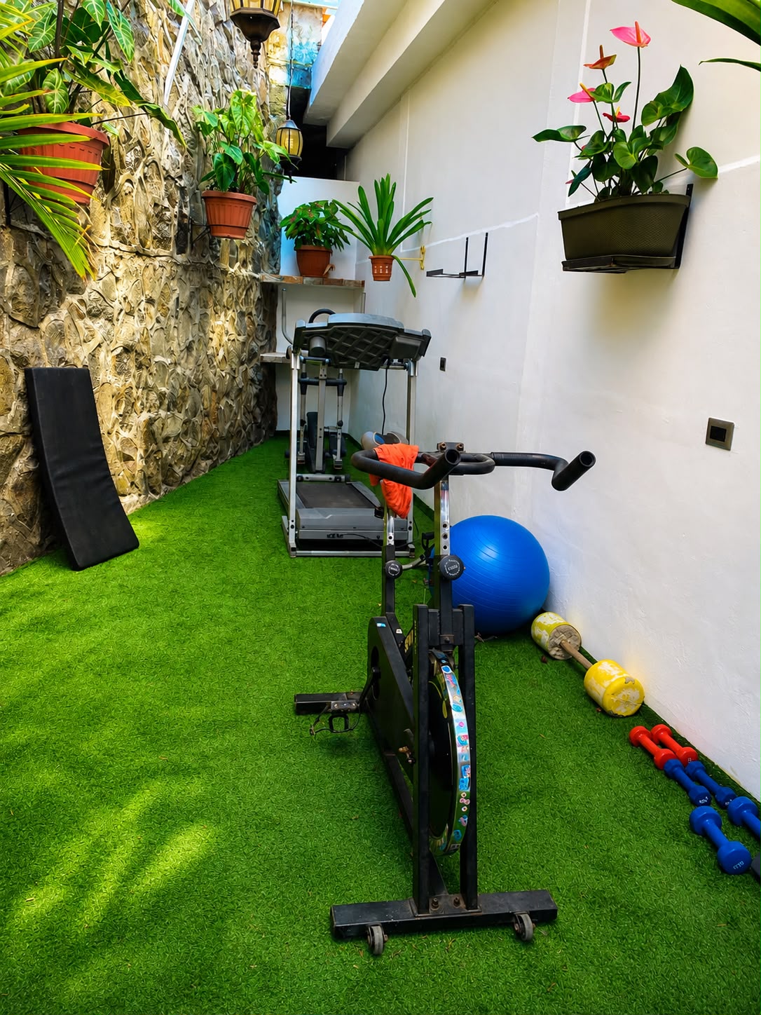Gimnasio