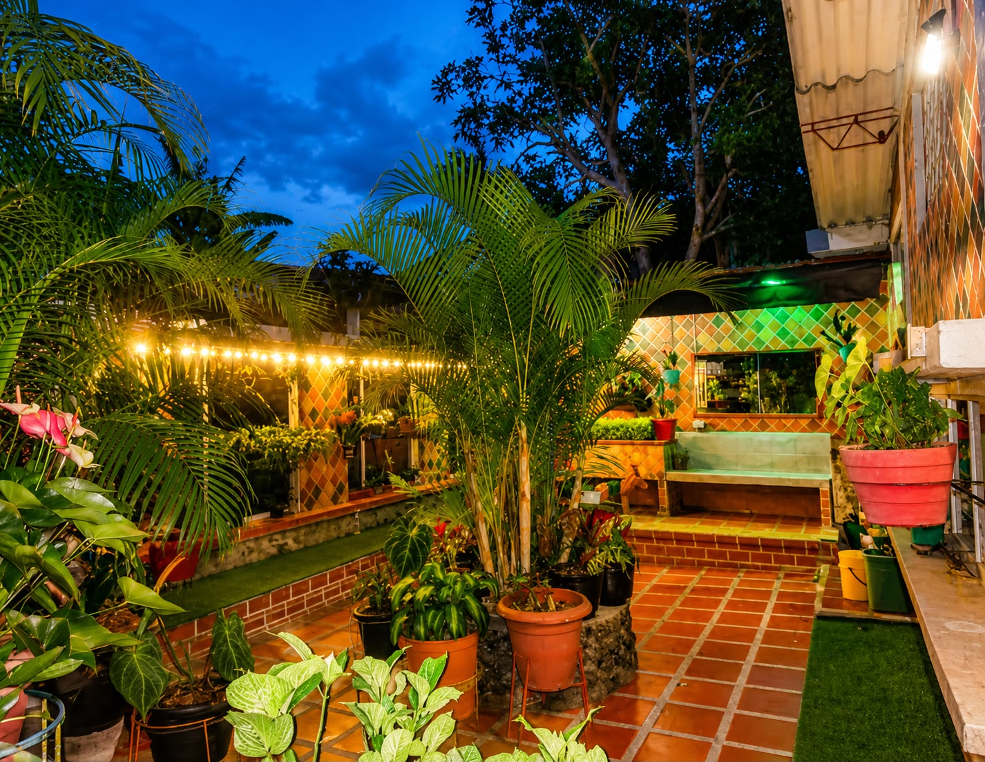Jardín con plantas y luces cálidas al atardecer